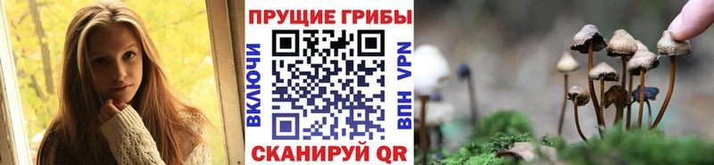 наркотики  Нефтекамск  дарк нет как зайти  Галлюциногенные грибы GOLDEN TEACHER 